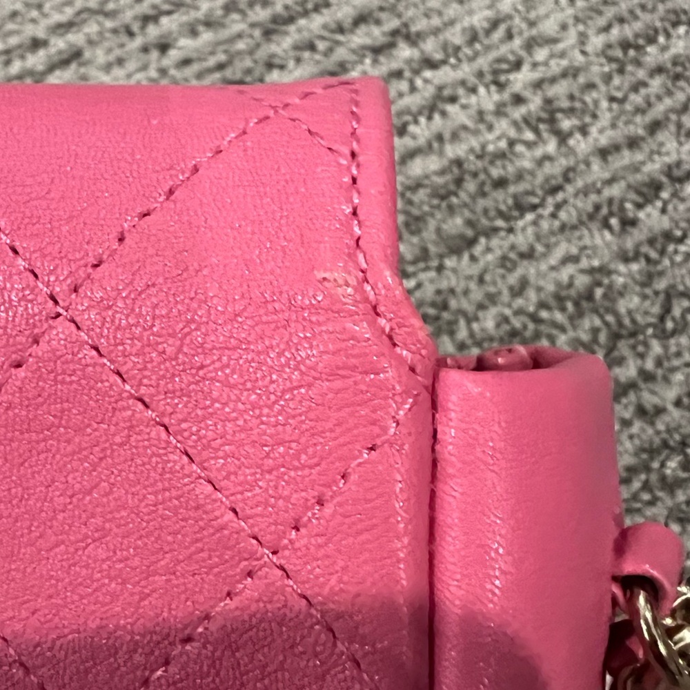 CHANEL Pink Crossbody Bag with Gold-Tone Closure - Picture 7 of 9